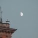 Stargazers Delight: August’s Early Morning Moon Show