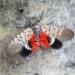 Uncovering the Mystery: The Decline of Spotted Lanternflies in New York City