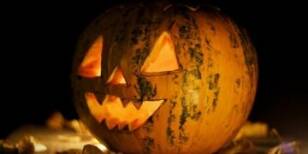 Boo Deng’s Stellar Performance at NASA JPL’s Pumpkin Carving Competition: A Haunting Victory