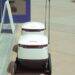 Experience the Future of Food Delivery: Rent Your Own Robot Today!