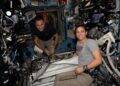 Unlocking the Secrets of Space Crew Health: Immune System Exploration and Spacewalk Preparation