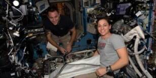 Unlocking the Secrets of Space Crew Health: Immune System Exploration and Spacewalk Preparation