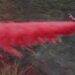 Unveiling the Mystery: The Enigmatic Pink Powder Blanketing California Fires